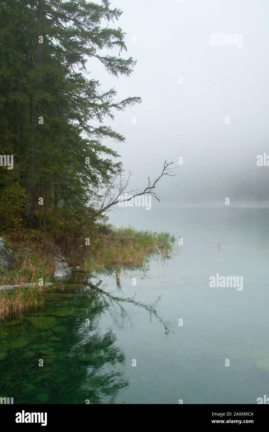 landscaape with lake in a foggy autumn day Stock Photo