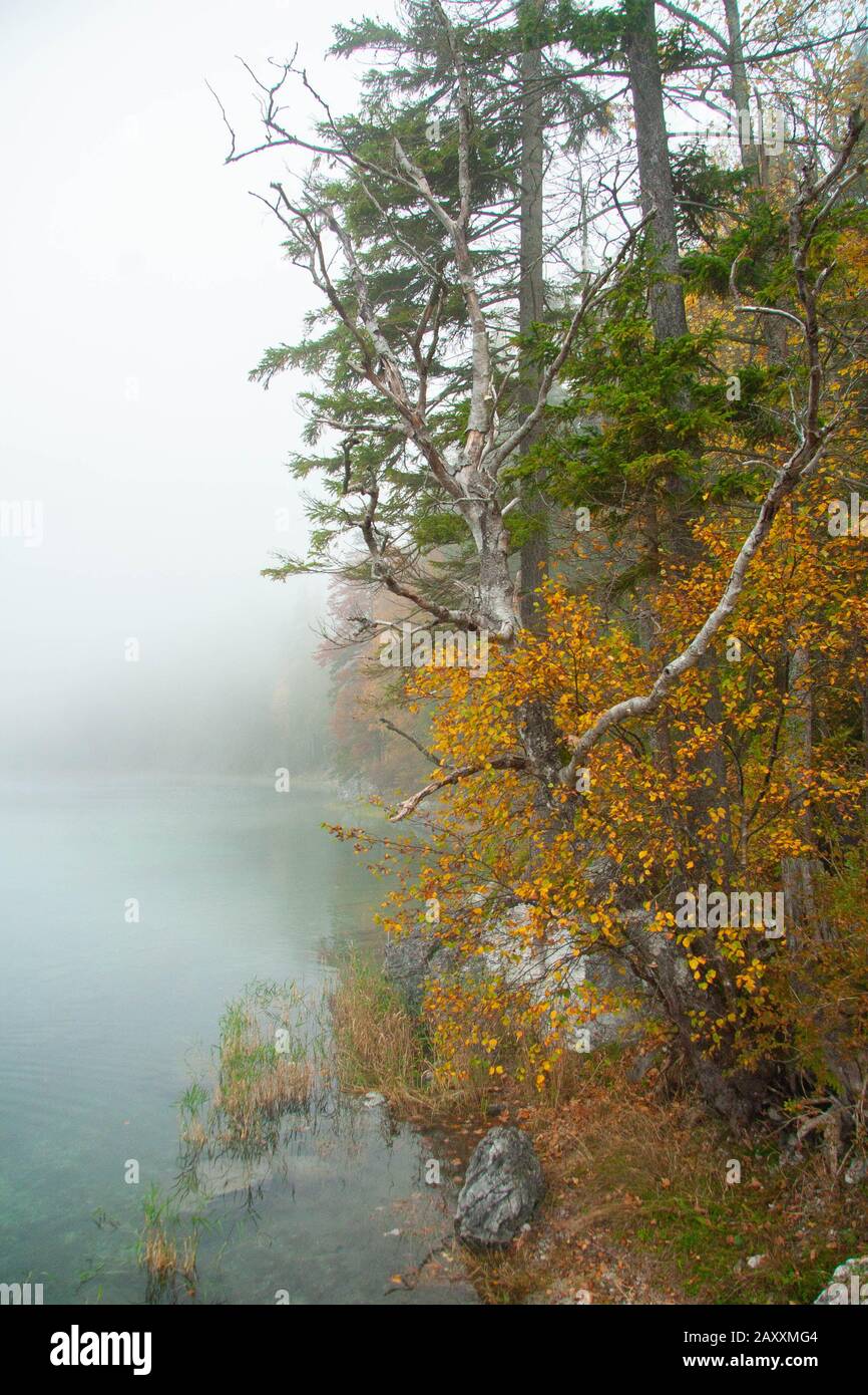 landscaape with lake in a foggy autumn day Stock Photo