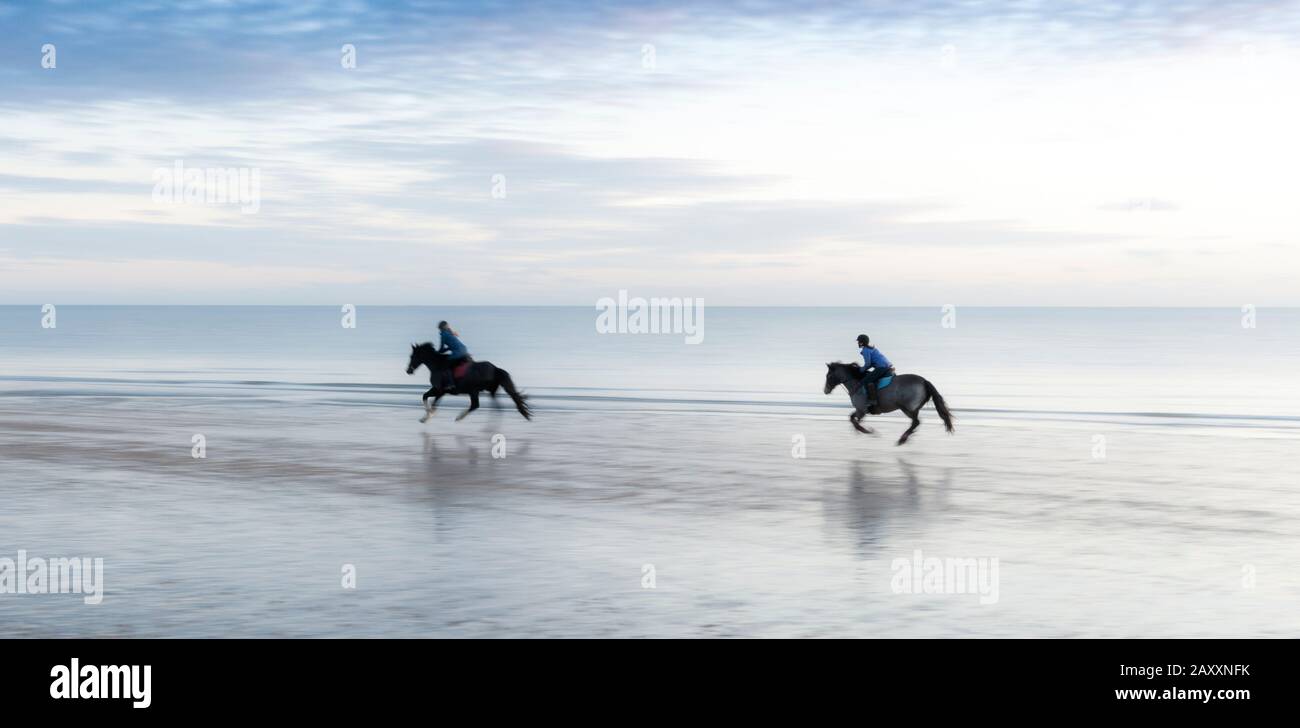 Horses galloping on a beach Stock Photo