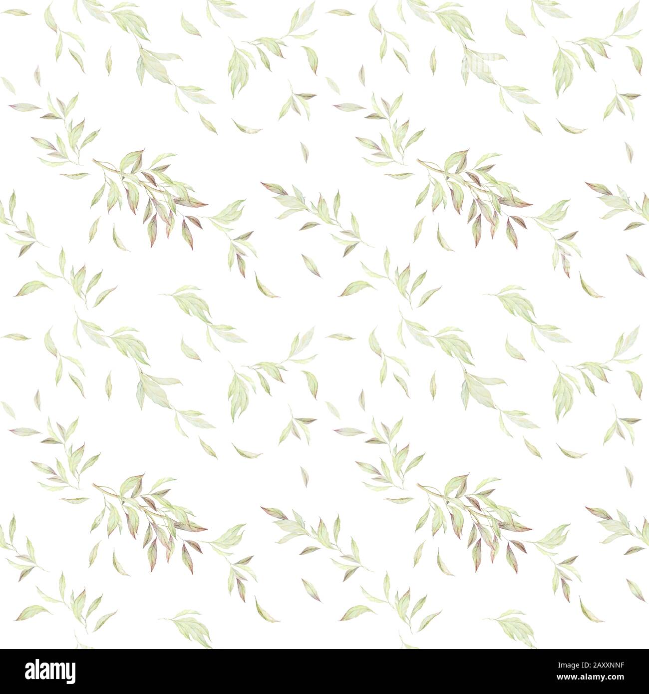 Seamless Floral Pattern. Lush Leaves. Watercolor Vintage. Wallpaper for walls. White color background. Stock Photo