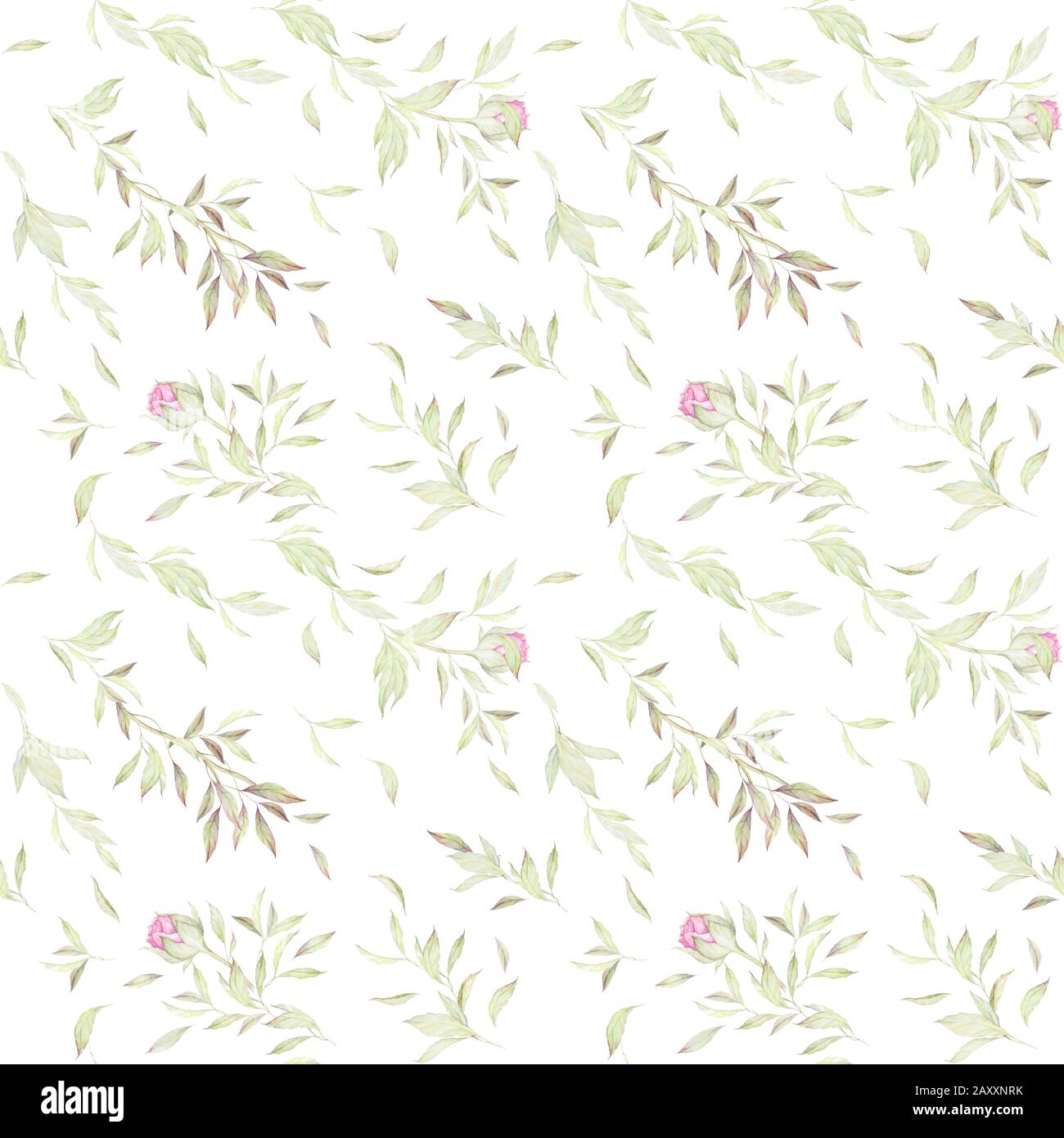 Seamless Floral Pattern. Luxury Pink Flowers. Lush Leaves. Watercolor Vintage  Peonies. Wedding Invitation Decor. Wall Art. White background. Stock Photo