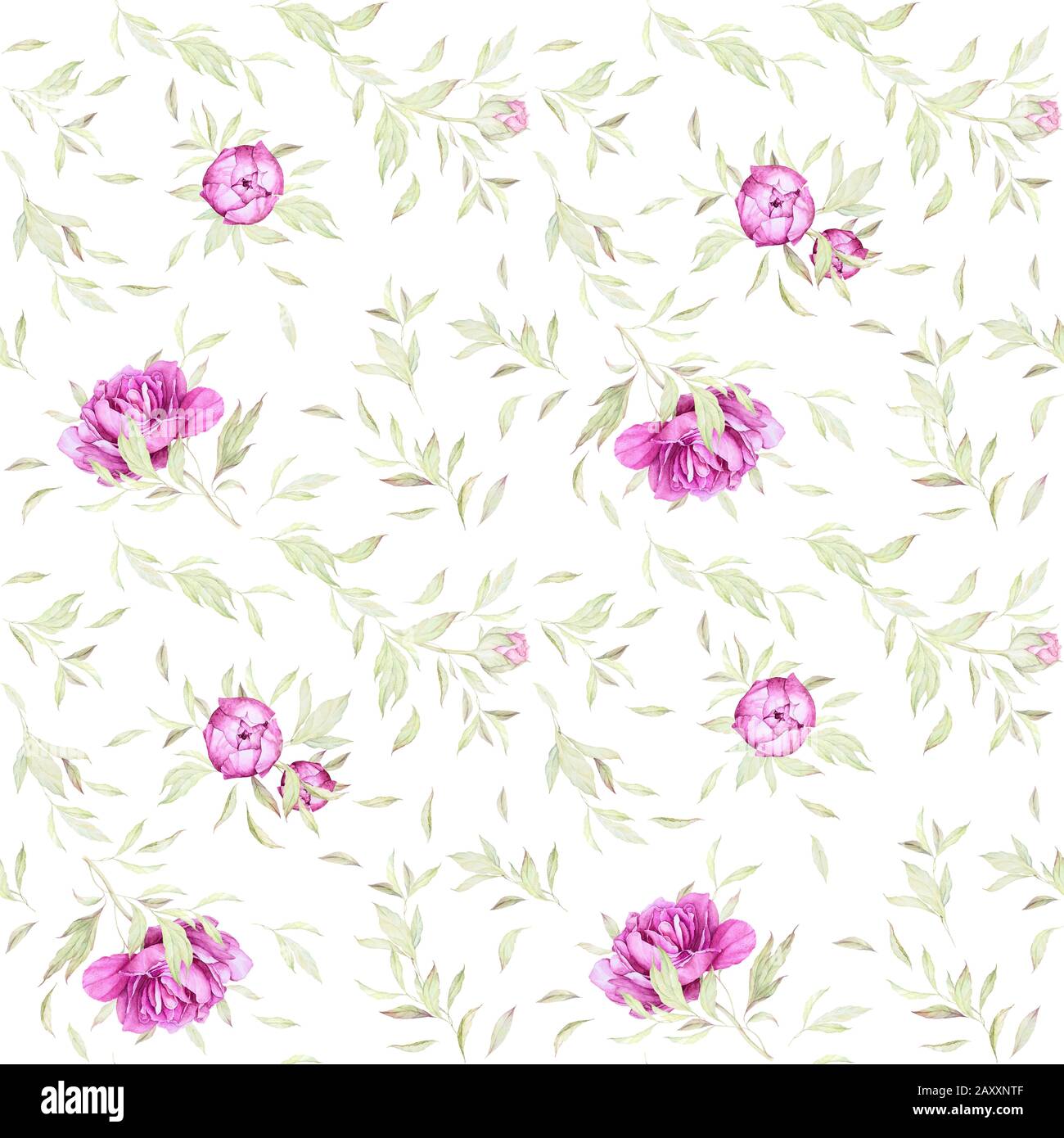 Seamless Floral Pattern. Luxury Pink Flowers. Lush Leaves. Watercolor Vintage  Peonies. Wedding Invitation Decor. Wallpaper for walls. White backgroun Stock Photo
