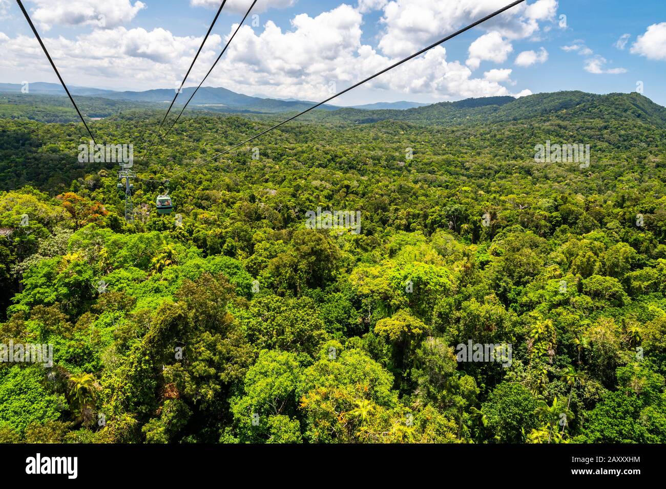 Top view of Australian rainforest from a cableway in north Queensland Stock Photo