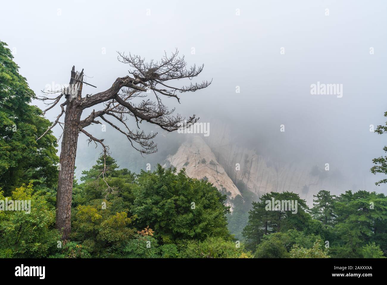 Covered in fog, mist and low clouds, mountain trail path leading to the summit of a South Peak on Huashan mountain, Shaanxi Province, China Stock Photo