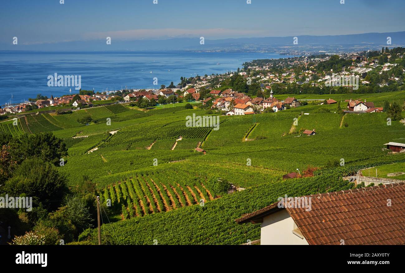 views of the vineyards and Lake Leman near Lausanne in Switzerland Stock Photo