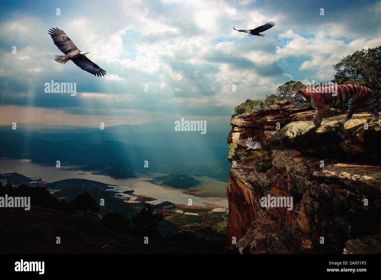 A tiger on the top of a cliff hunting for a rabbit. In the sky eagles lurk over the place. Stock Photo