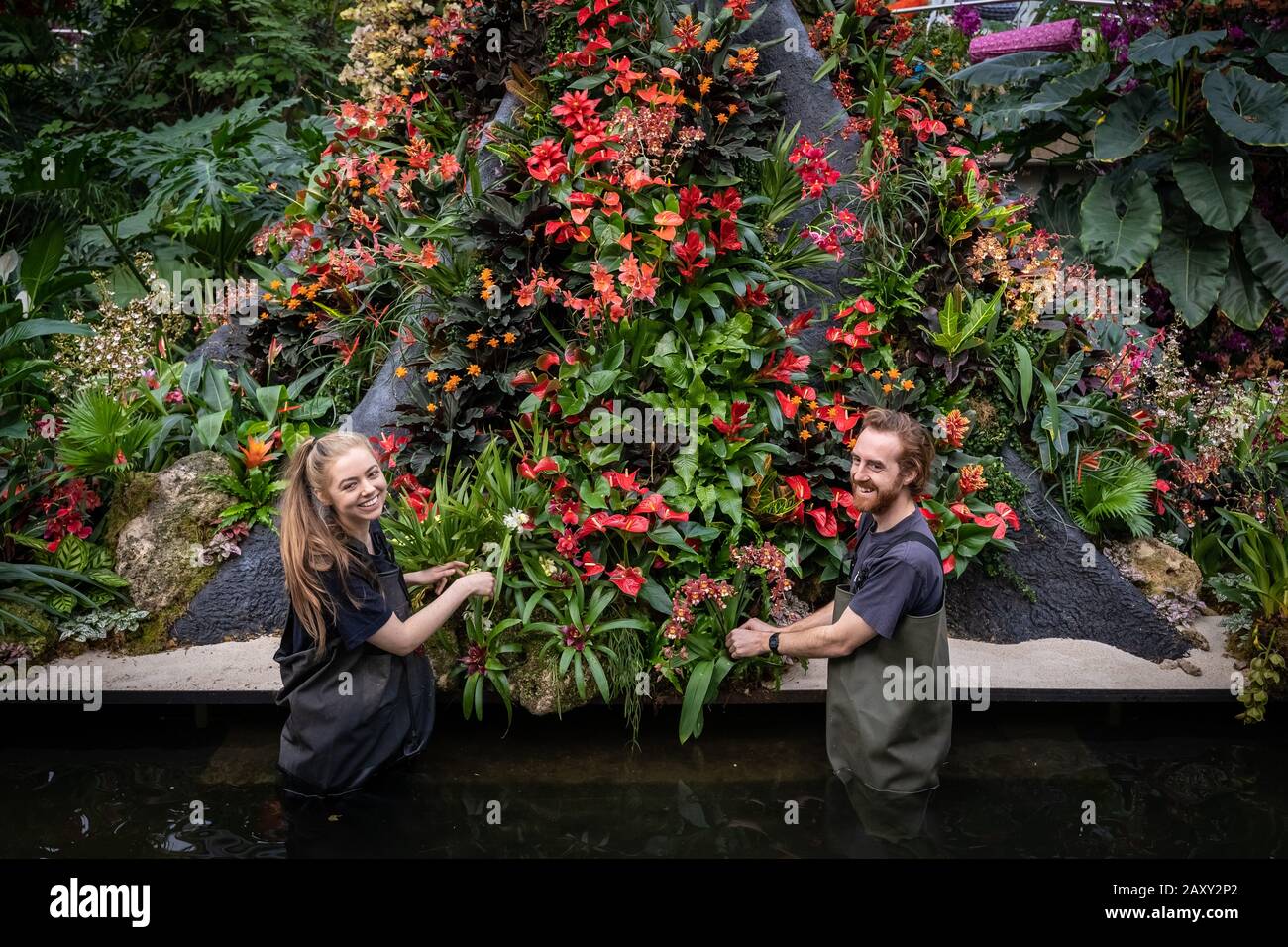 Kew Orchid Festival 2020: Indonesia. Annual orchid festival themed on the country of Indonesia sees over 5,000 colourful orchid and tropical plants. Stock Photo