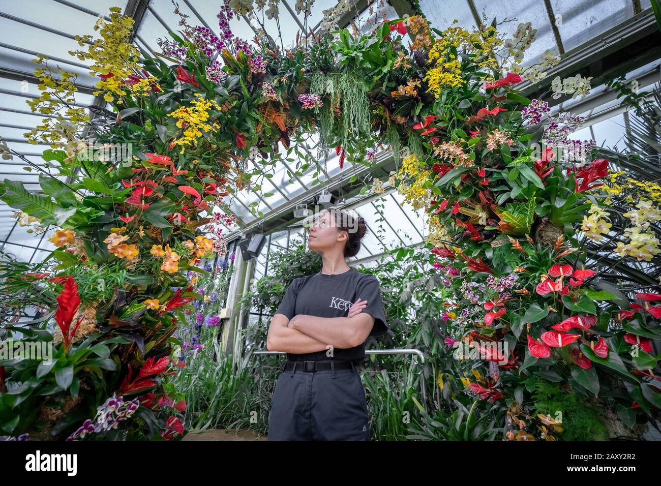 Kew Orchid Festival 2020: Indonesia. Annual orchid festival themed on the country of Indonesia with over 5,000 colourful orchid and tropical plants. Stock Photo