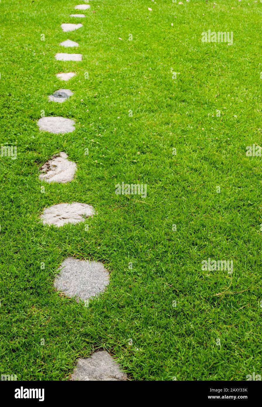 Stepping stones on grass background Stock Photo Alamy