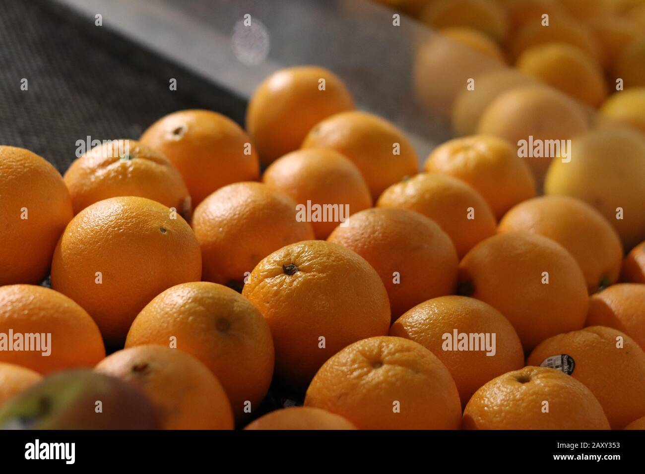 Many oranges on display in a grocery store with contrasting light