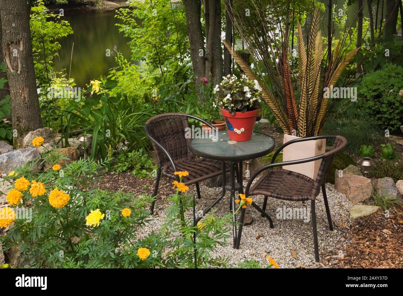 Yellow Tagetes Patula Marigold Flowers With Round Glass Top