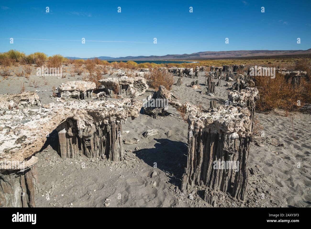 Sand Tufa towers at Navy Beach, Mono Lake, California Stock Photo