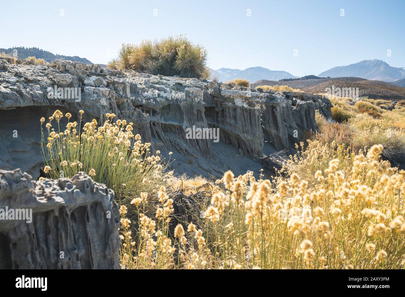 Sand Tufa towers at Navy Beach, Mono Lake, California Stock Photo