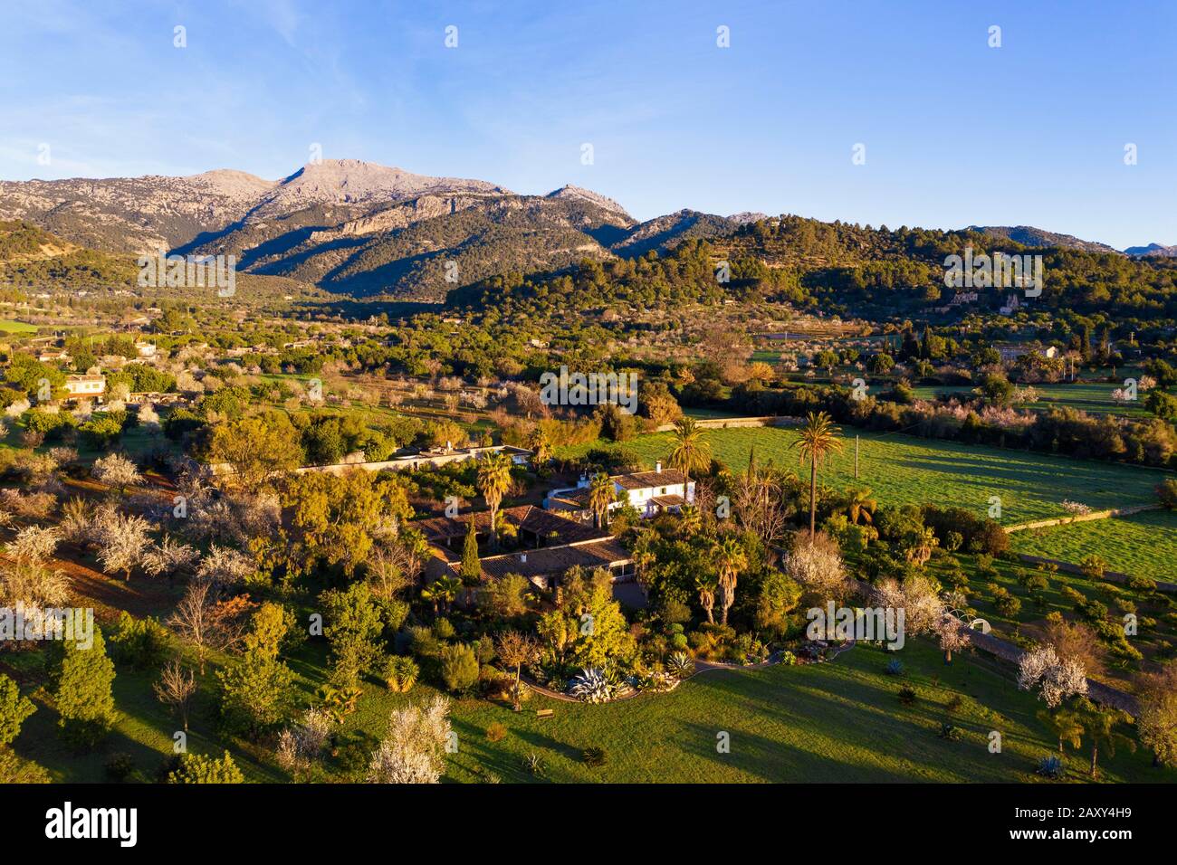 Cultural landscape with finca and flowering almond trees, near Mancor de la Vall, Serra de Tramuntana, aerial view, Majorca, Balearic Islands, Spain Stock Photo