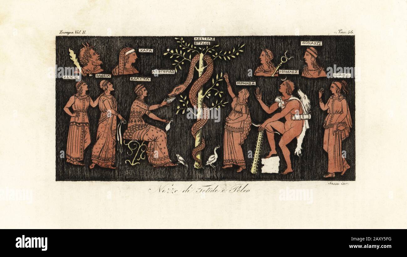 Heracles on his 11th labor, taking golden apples from the Garden of the Hesperides guarded by the serpent Ladon. From a vase in Aubin Louis Millin’s Peintures de Vases Antiques. (Mistakenly labeled Marriage of Peleus and Thetis.) Nozze di Tetide e Peleo. Handcoloured copperplate engraving by Giovanni Antonio Sasso from Giulio Ferrario’s Costumes Ancient and Modern of the Peoples of the World, Il Costume Antico e Moderno, Florence, 1842. Stock Photo