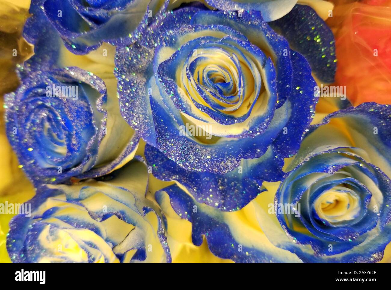 Blue glitter hi-res stock photography and images - Alamy