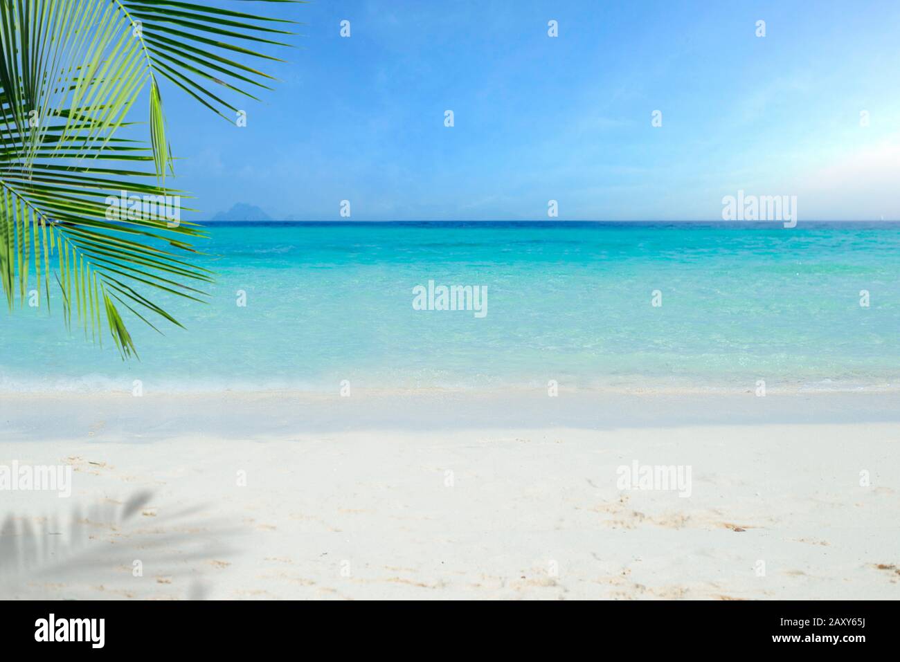Tropical beach with coconut palm, sea and sand, summer holiday background. Travel and beach vacation, free space for text. Stock Photo