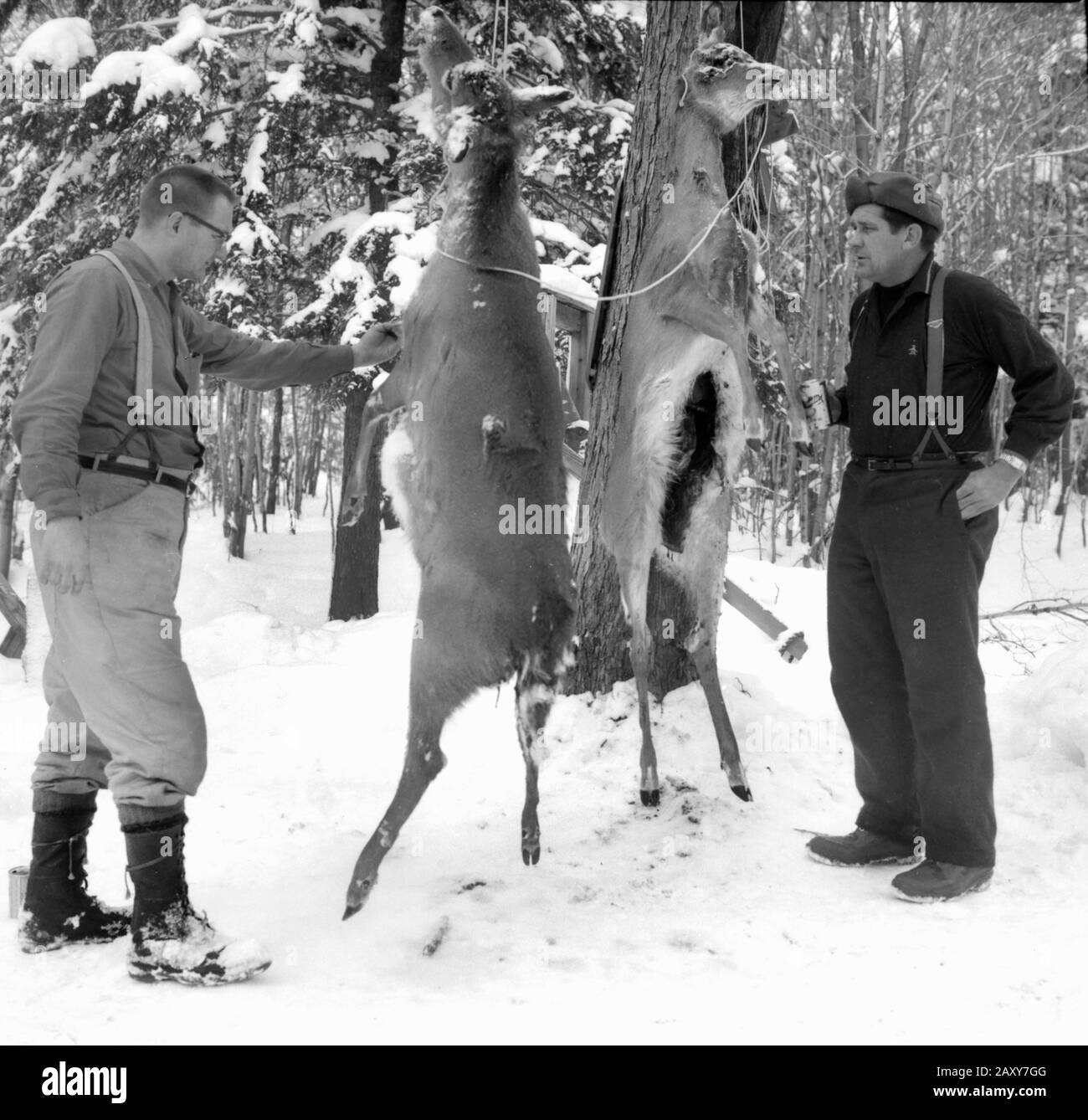 The guys pose with their trophy whitetail deer in Northern Wisconsin, ca. 1950. Stock Photo