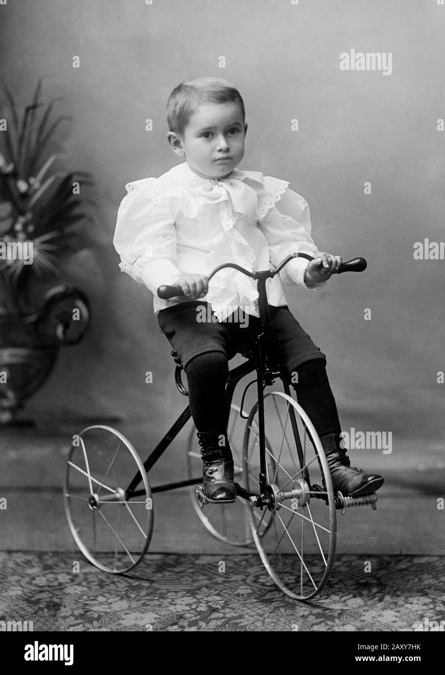 A young boy sits atop of steel wheeled tricycle for a studio portrait, ca. 1895. Stock Photo