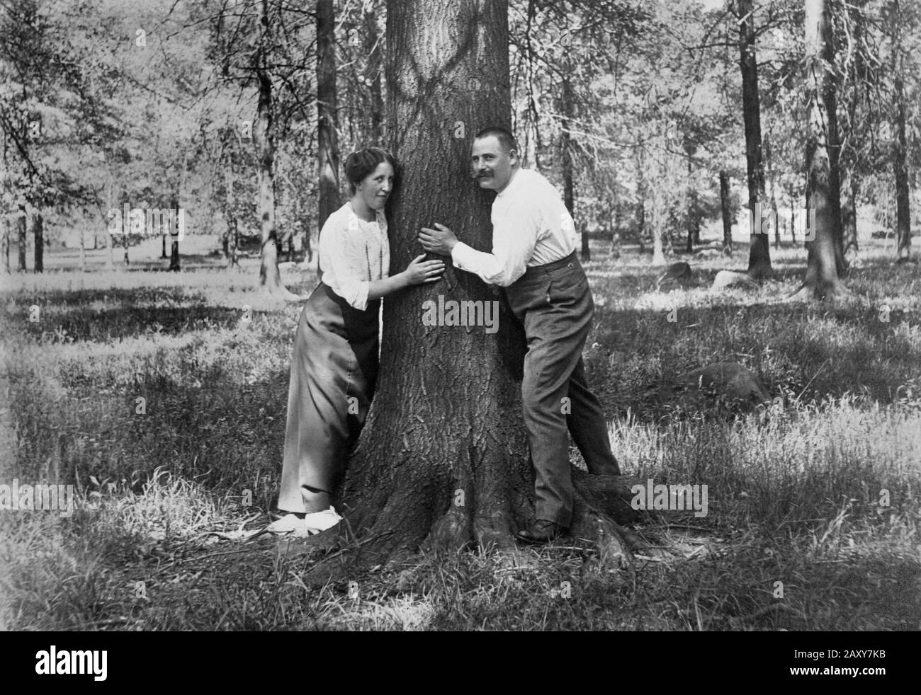 A carefree couple frolic around the trunk of a large tree, ca. 1910. Stock Photo