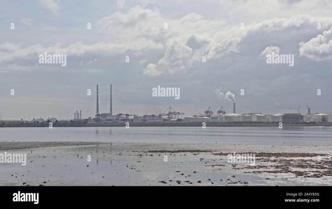 Misty view from across the water on Poolberg peninsula, with the chimneys of the power generation station and industrial cranes and harbour buildings Stock Photo