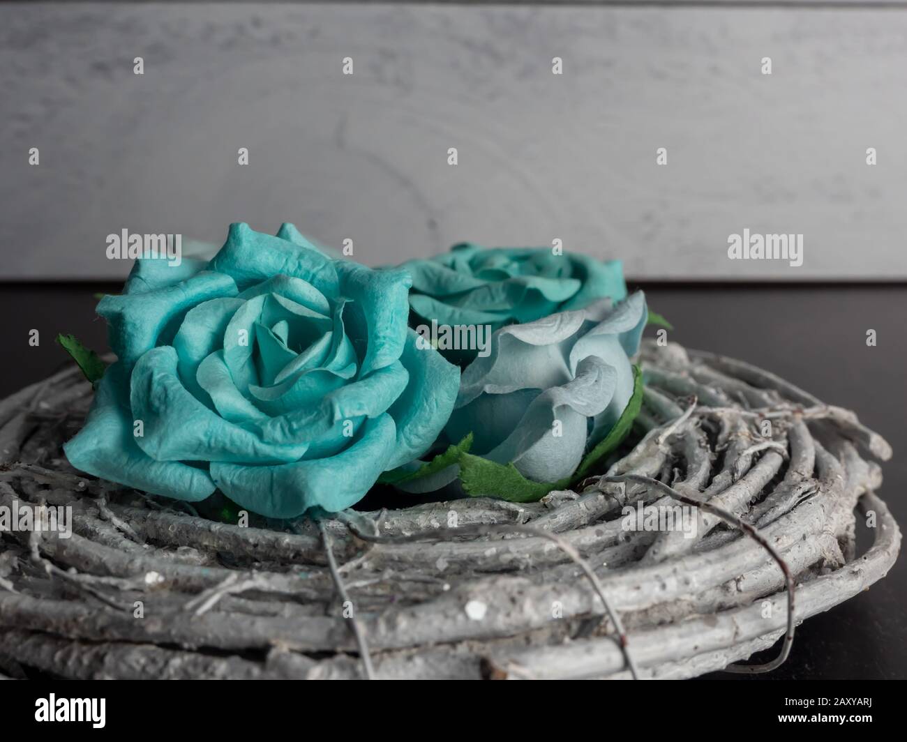 Gray coiled wood bound together on a black slate and gray background with teal paper flower rose blooms. Stock Photo