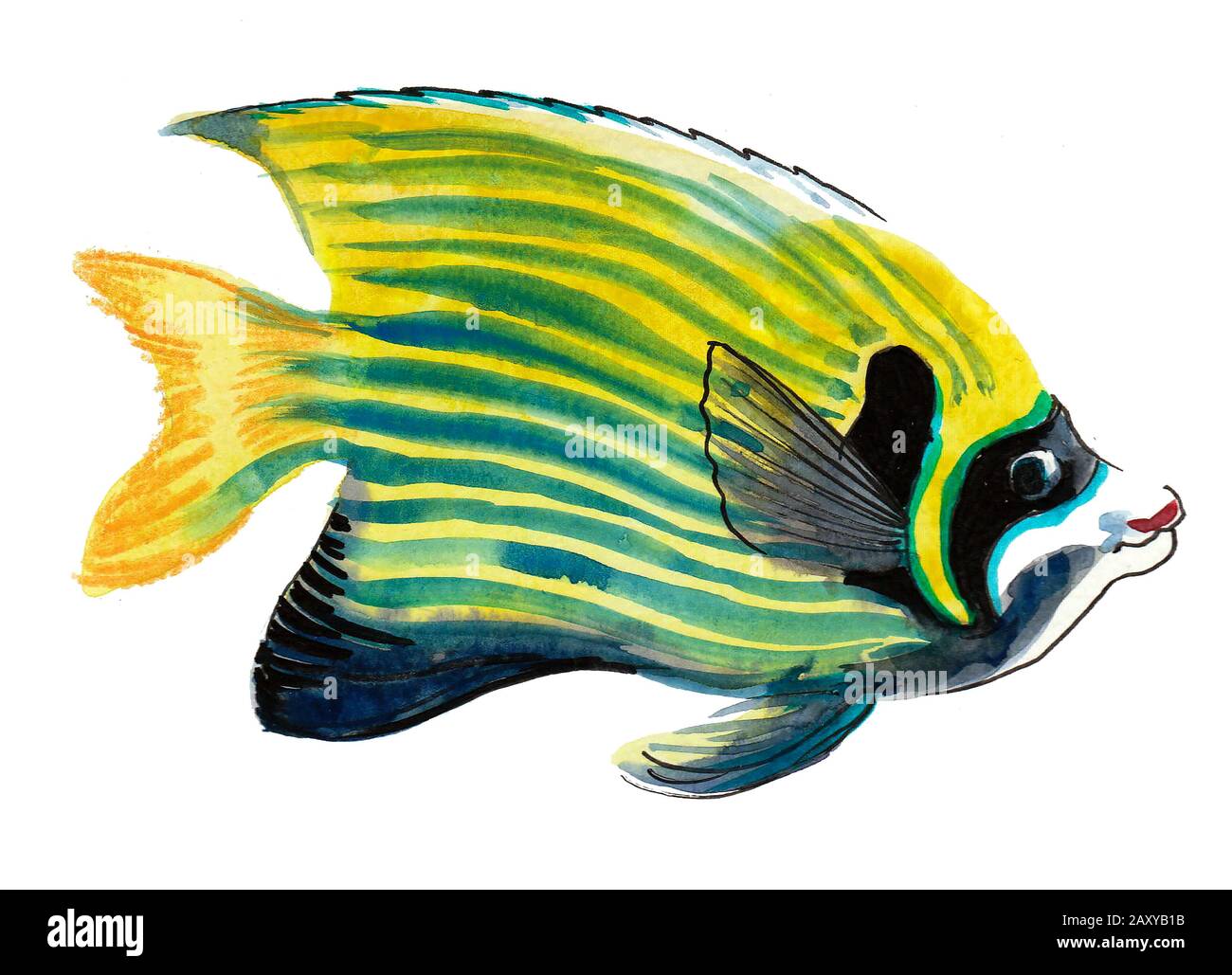 Blue colored magic fish swims on a turquoise background. Illustration drawn  in watercolor and ink Stock Photo - Alamy