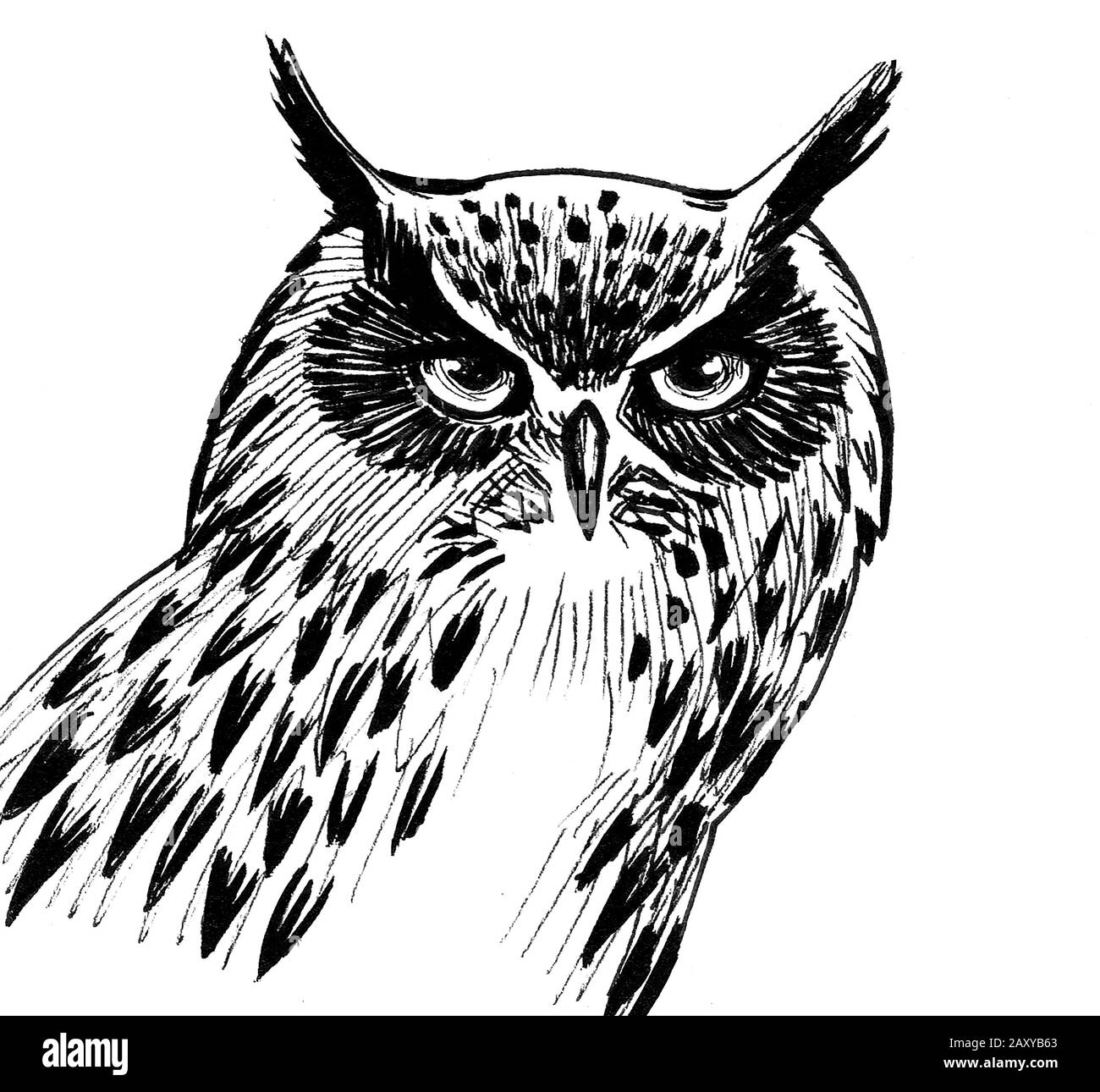 Owl bird. Ink black and white drawing Stock Photo - Alamy