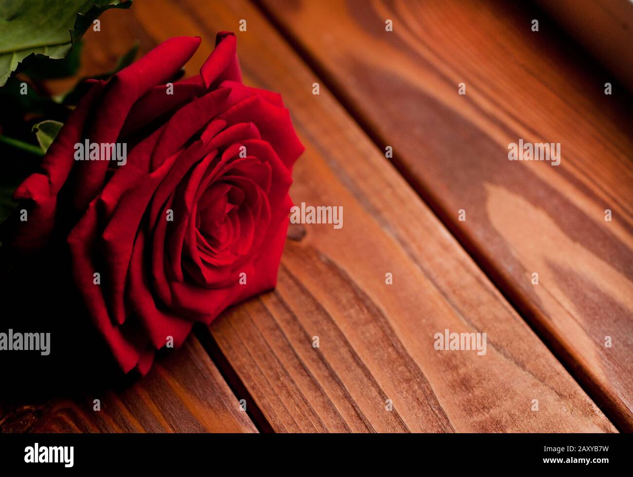 Red rose flower on vintage wooden background. Place for text Stock Photo -  Alamy