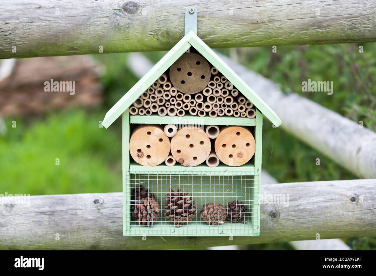 Bug box hires stock photography and images Alamy
