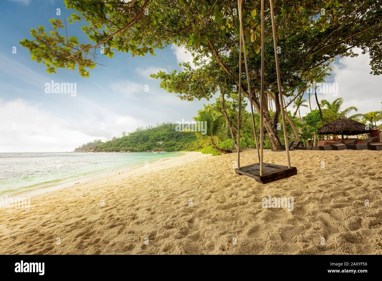 Rope swing swings on a tropical beach. Exotic palm trees and blue sky. Holiday serenity vacation concept Stock Photo