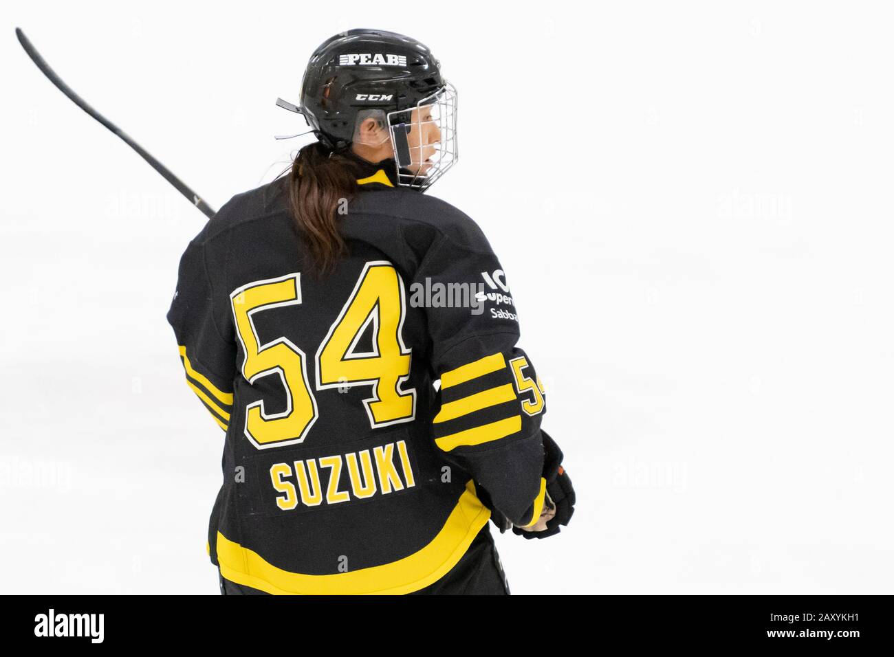 The Swedish Womens Hockey League High Resolution Stock Photography and  Images - Alamy