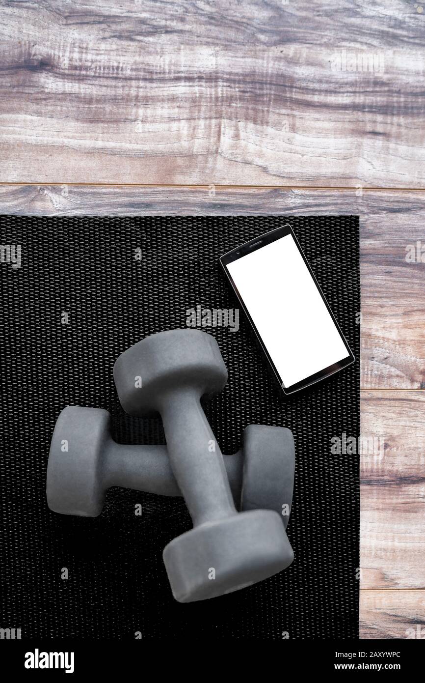 gym dumbbells online