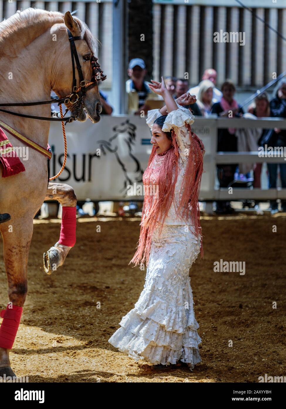 Woman flamenco dancer performing with a horse, Jerez Horse Fair (Feria de Caballo) , Jerez de la Frontera, Andalusia, Spain Stock Photo