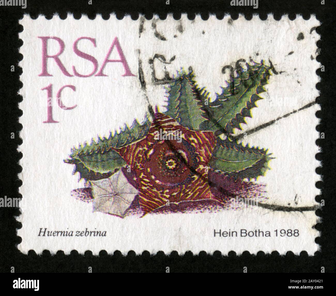 Stamp print in RSA,South Africa,flowers, 1988,Huernia zebrina Stock Photo
