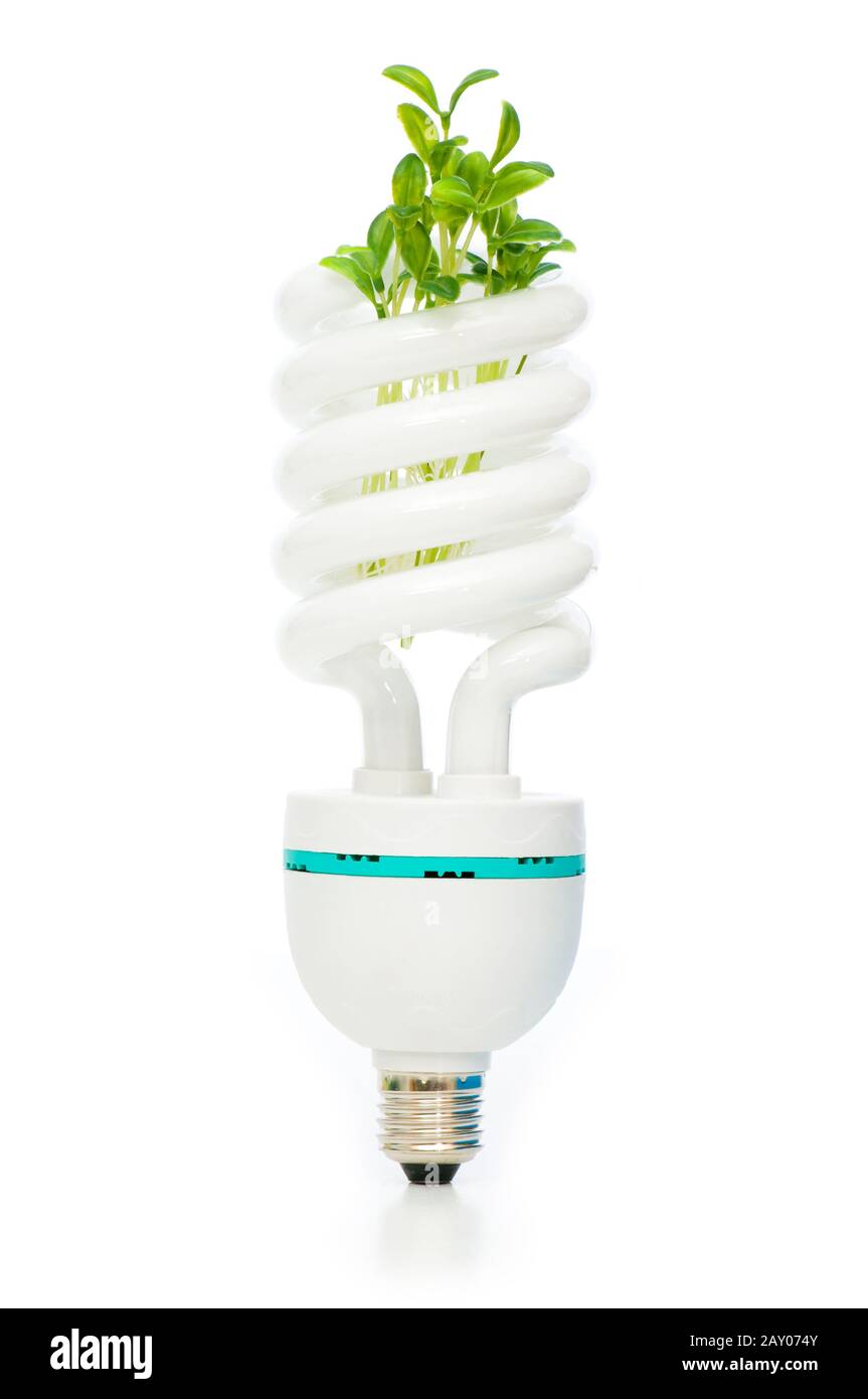 Energy saving lamp with green seedling on white Stock Photo - Alamy
