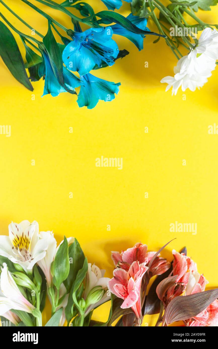 Spring Background Wallpaper Vertical