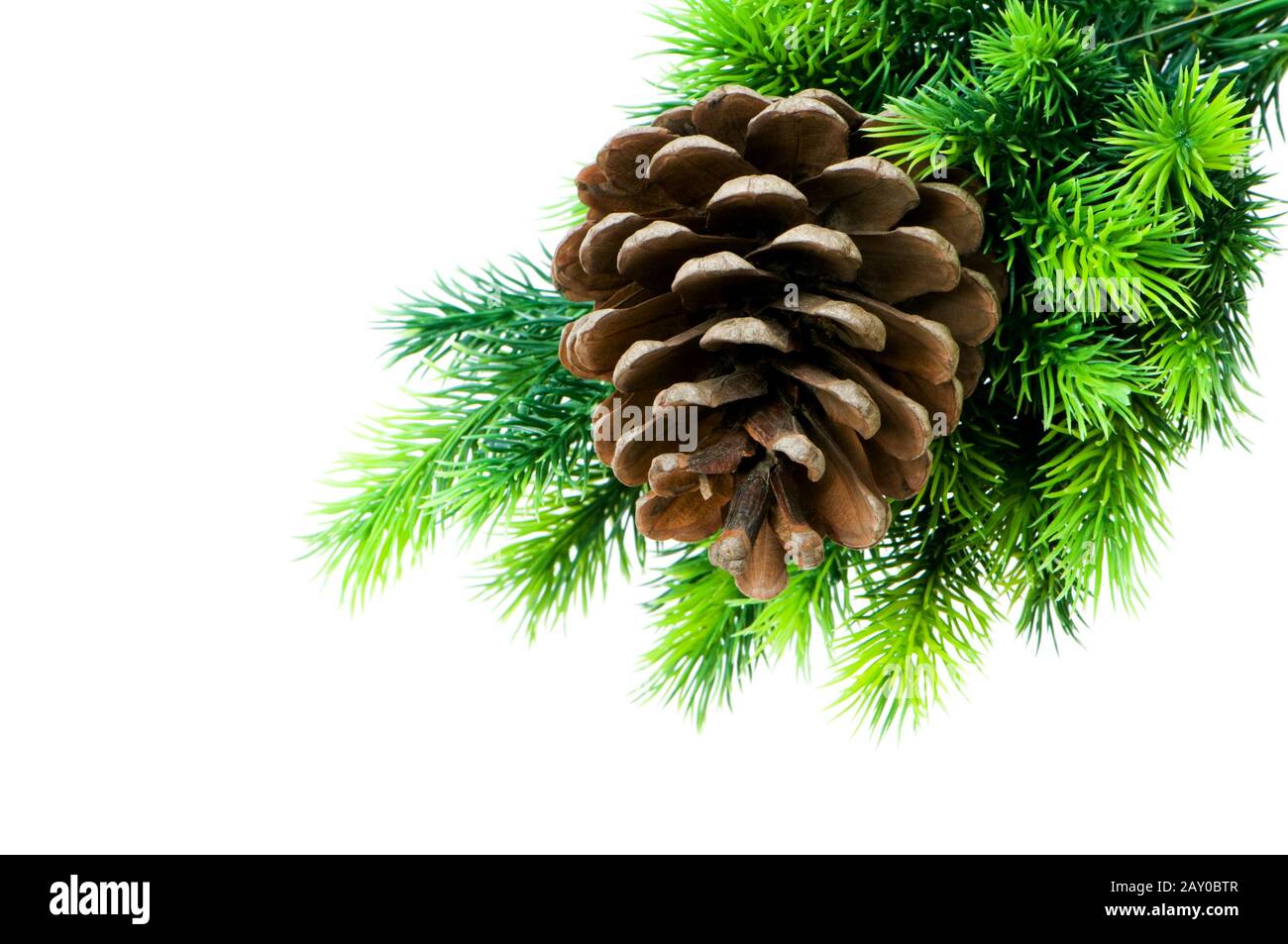 Cone and christmas tree isolated on white Stock Photo - Alamy