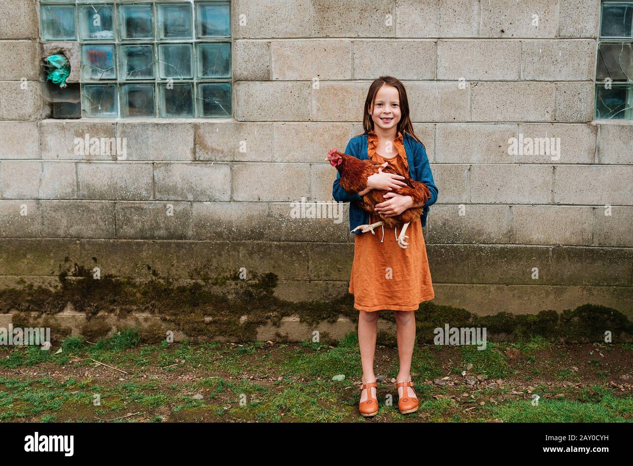 Smiling girl standing on a farm holding a chicken, USA Stock Photo