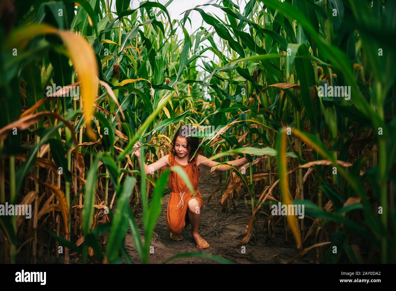Girl playing in a corn field, USA Stock Photo