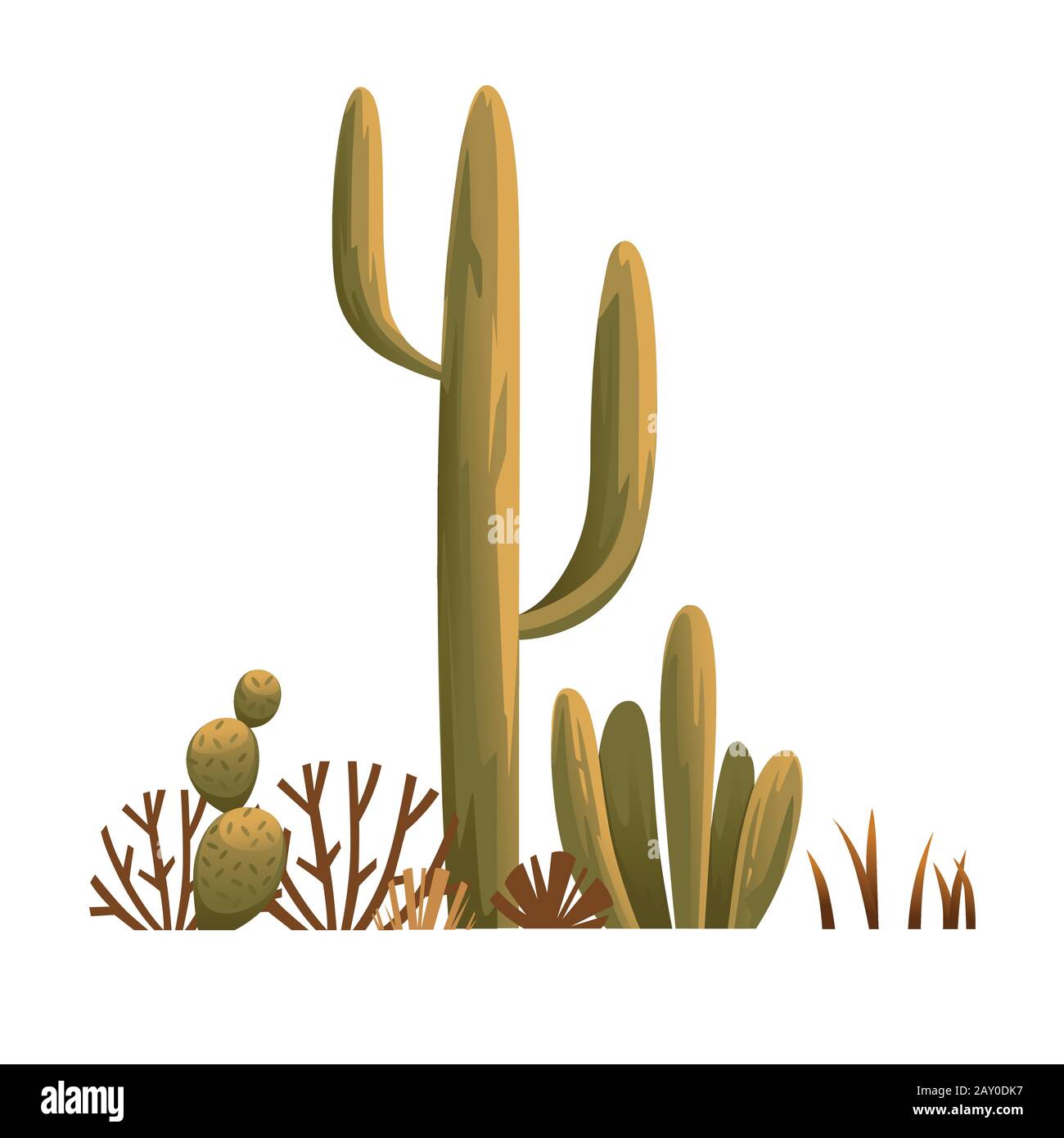 Desert plants Cut Out Stock Images & Pictures - Alamy