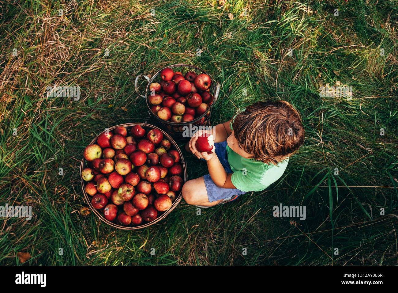 Overhead view of a Boy sitting in an orchard eating an apple, USA Stock Photo
