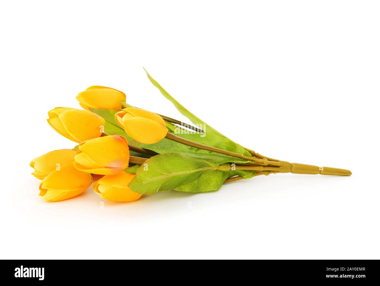 Colourful tulips isolated on the white background Stock Photo - Alamy