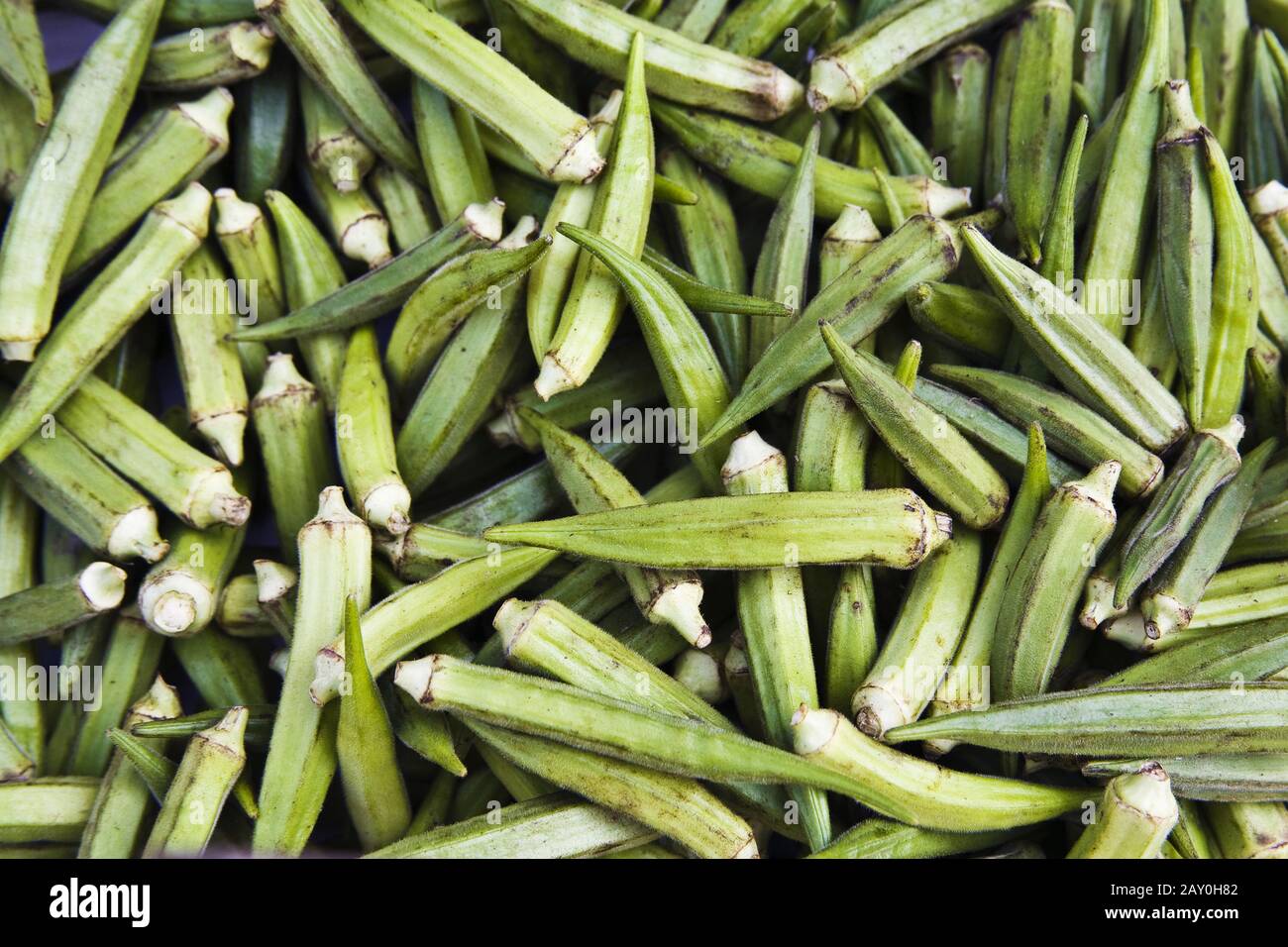 Okra (Abelmoschus esculentus) Vegetables Stock Photo