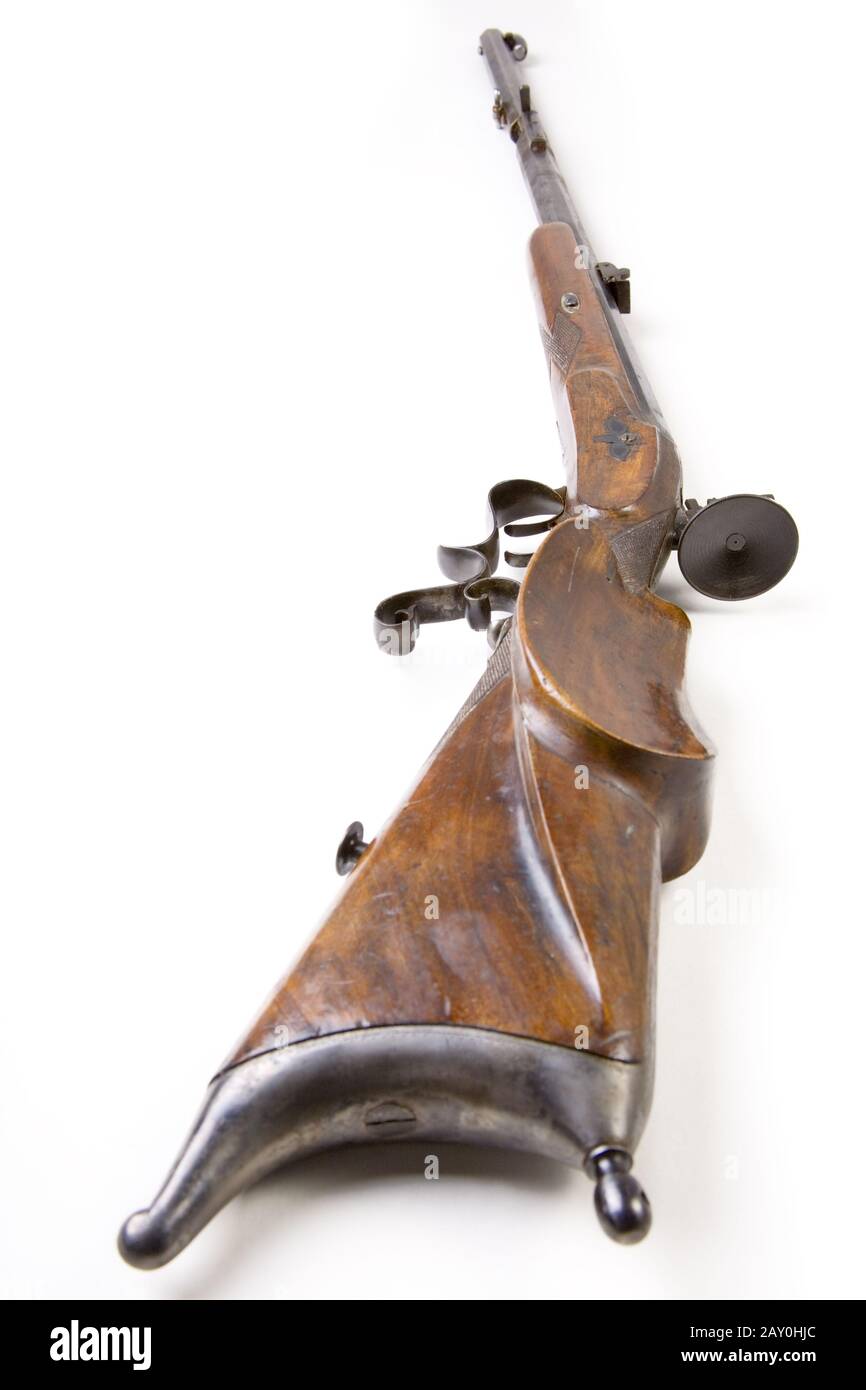 Werndl target support rifle 1876 caliber 9mm - Werndl gun 1876 Stock Photo