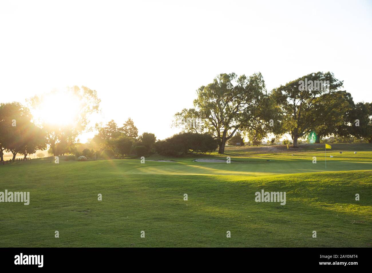 Golf field Stock Photo