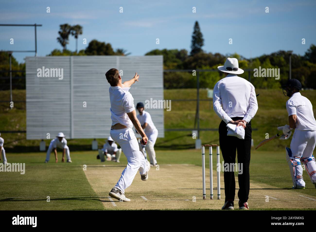 Cricket players training on the pitch Stock Photo