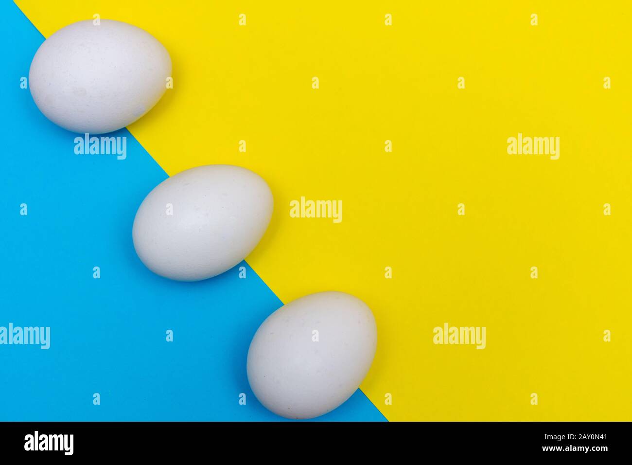 Three Easter holiday flat lay with white egg on a solid bright blue and yellow vibrant background with copy space. Stock Photo