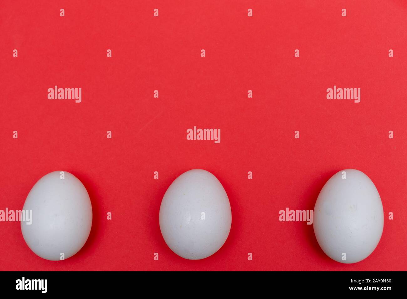 Three Easter holiday flat lay with white egg on a solid bright red vibrant background with copy space on top. Stock Photo