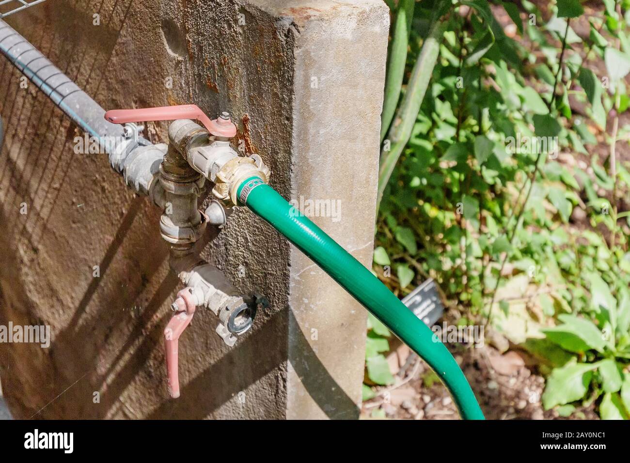garden hose with faucet in botanical greenhouse Stock Photo Alamy